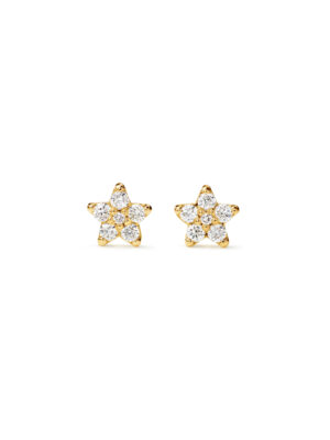 Øredobber, Shooting Stars mini 0,12 ct TW.VS.