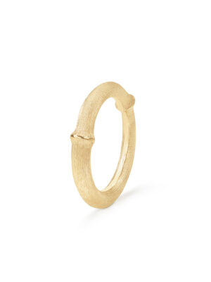 Ring, Nature IV gult gull