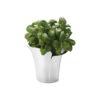 GEORG JENSEN HOME - BLOOM, BOTANICA BLOMSTERPOTTE LITEN - DETALJER